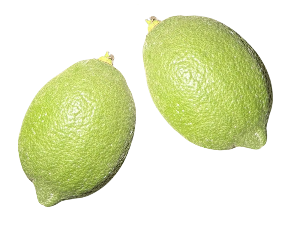 Italian Eureka Allen Lemon