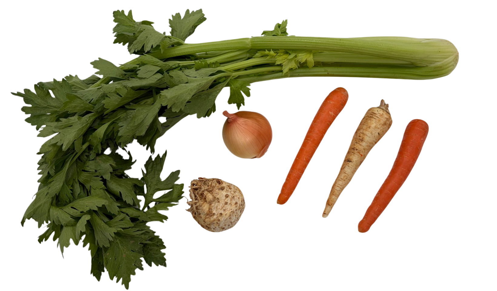 Winter Soup Base Kit