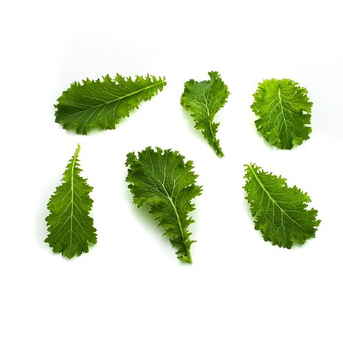 Horseraddish baby leaves