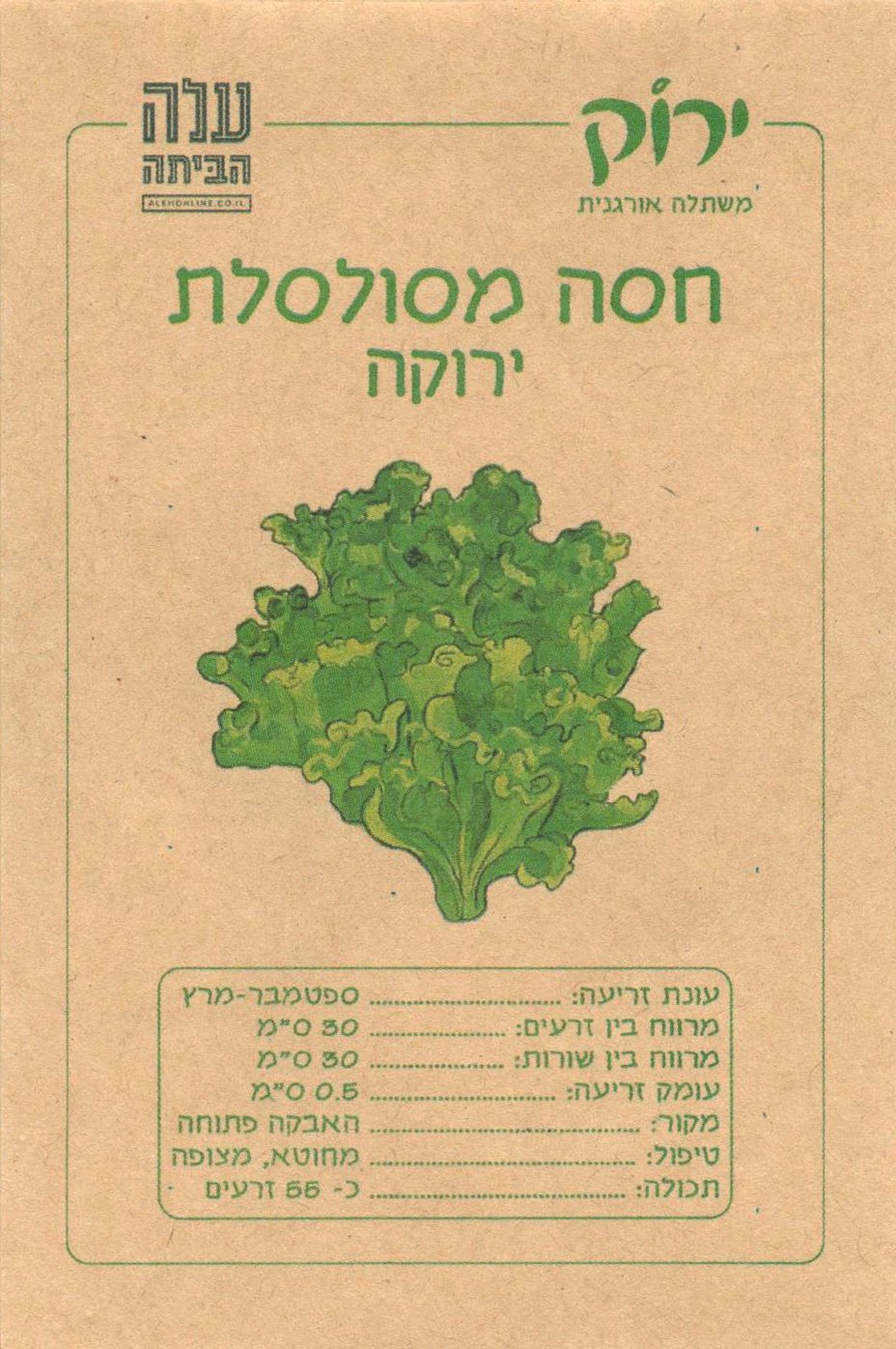 Green Curly Lettuce Seeds
