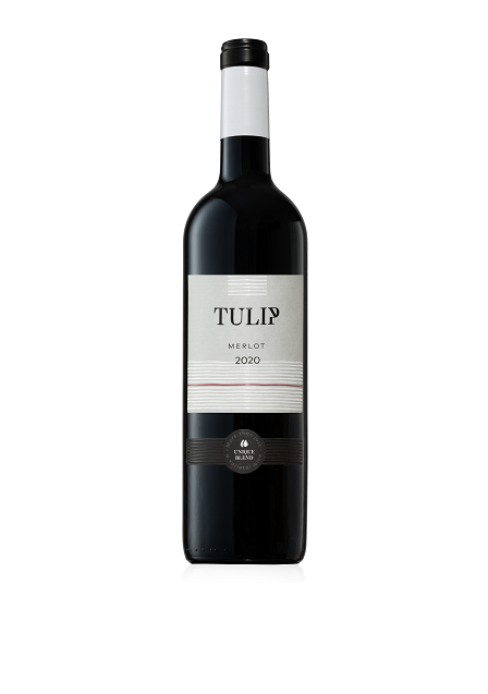 Merlot - Tulip