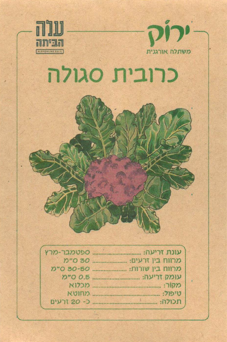 Purple Cauliflower Seeds