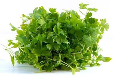 Micro parsley