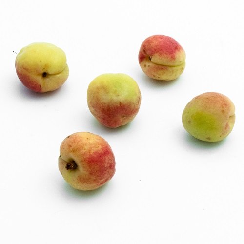 Mistakawi apricot