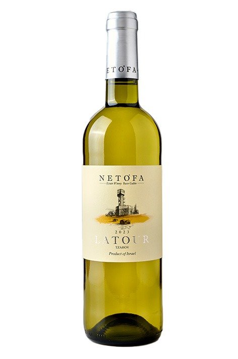 Latour white wine 2023 "yellow" - Netofa