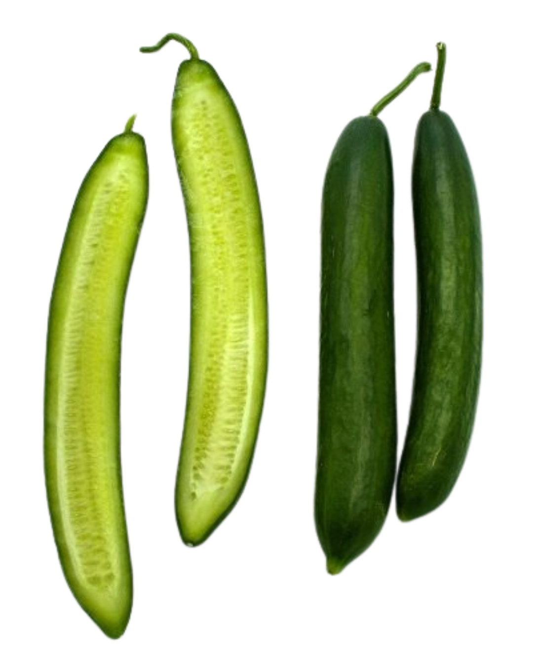 Aromato - Japanese cucumber