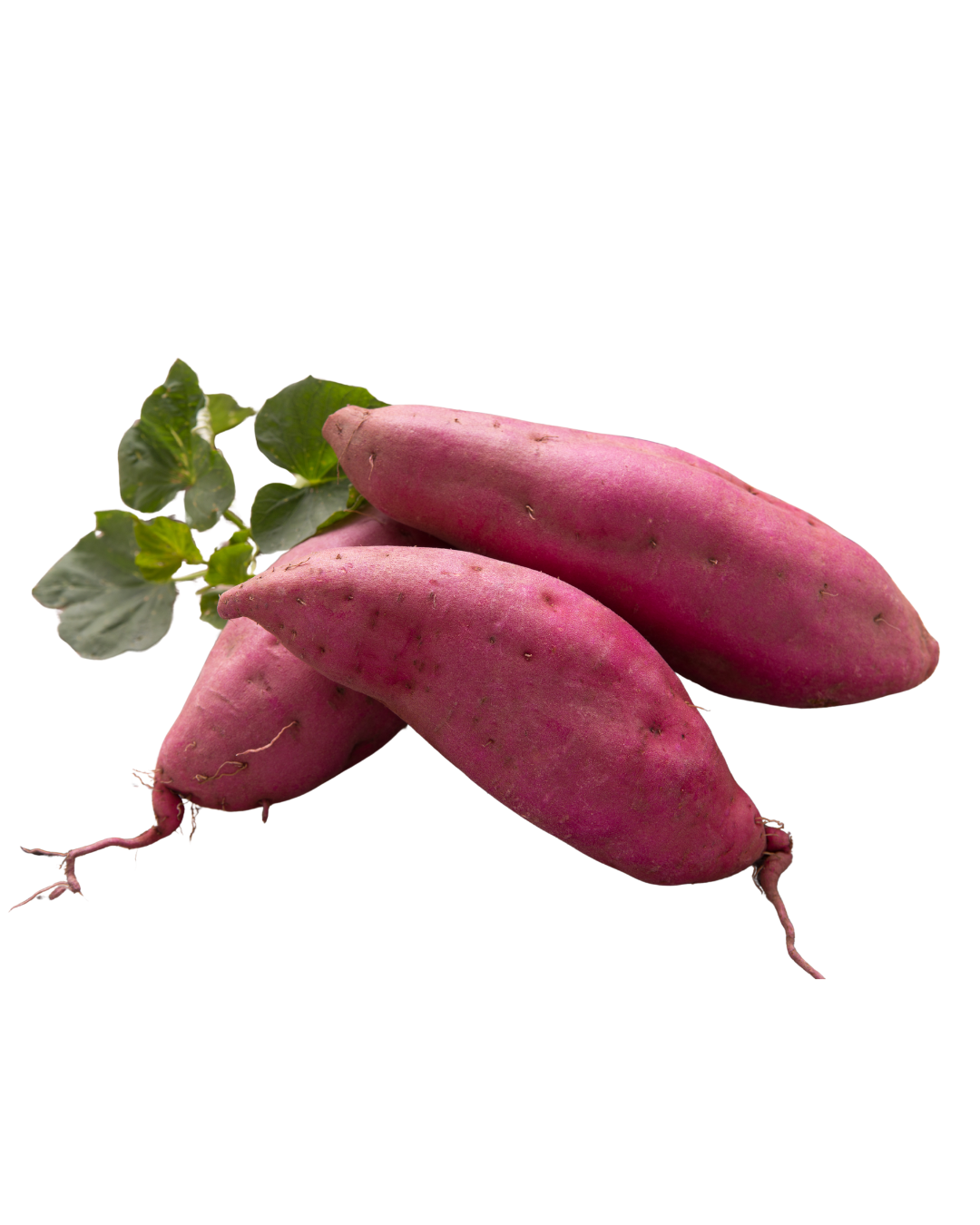 Mini Sweet Potato
