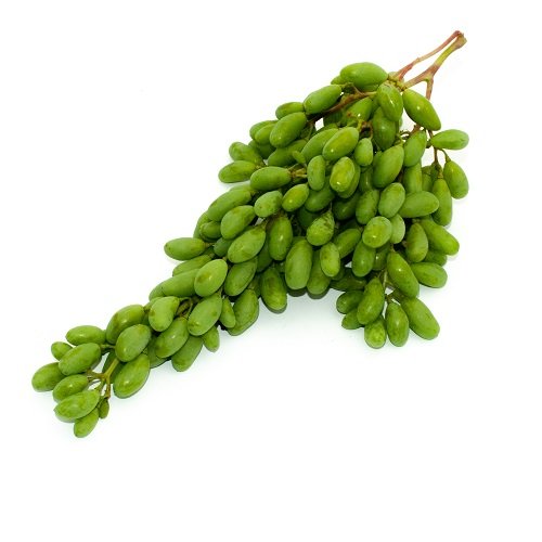 Unripe grapes