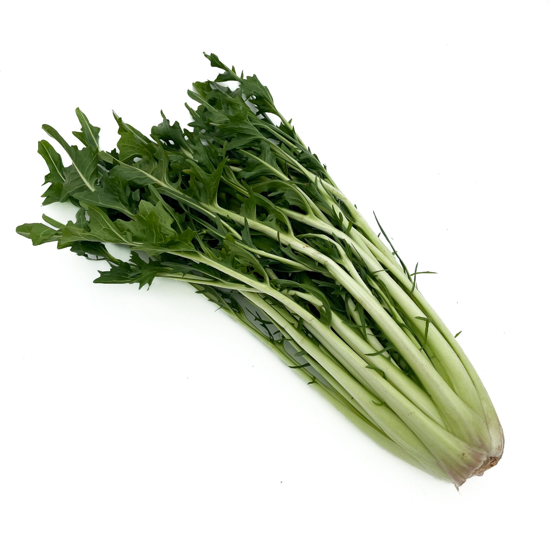 Puntarelle