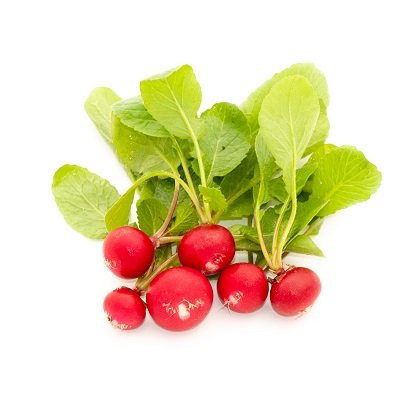 Micro radish