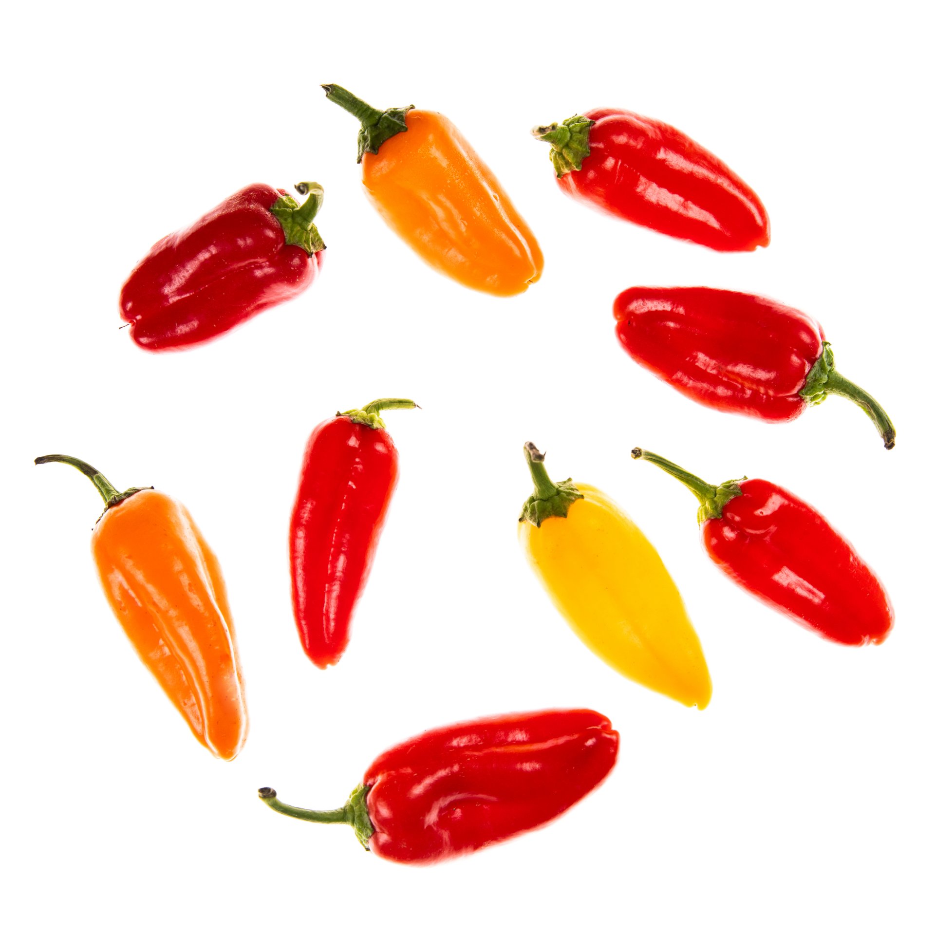 Peperito Seedless Sweet Peppers