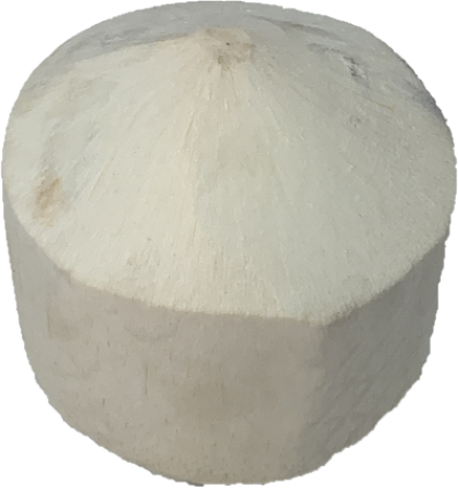 Fresh coconut