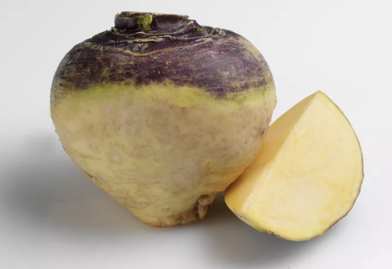 Rutabaga root