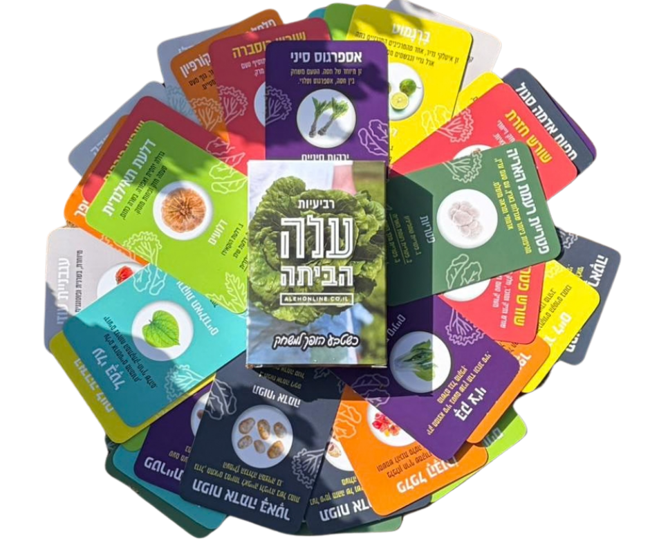 Aleh online Quartet Game