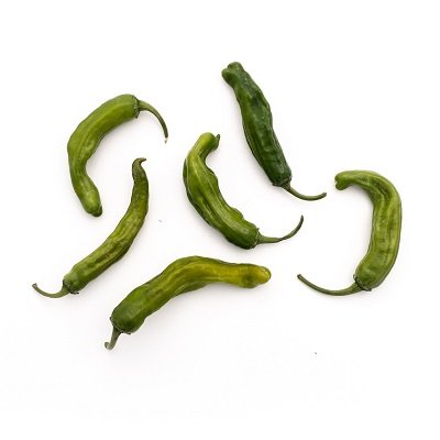 Shishito pepper