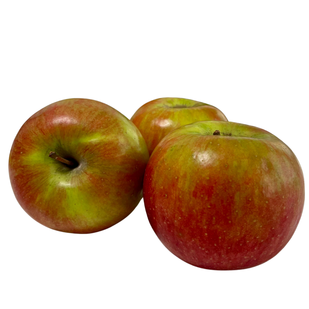 Sundowner apple