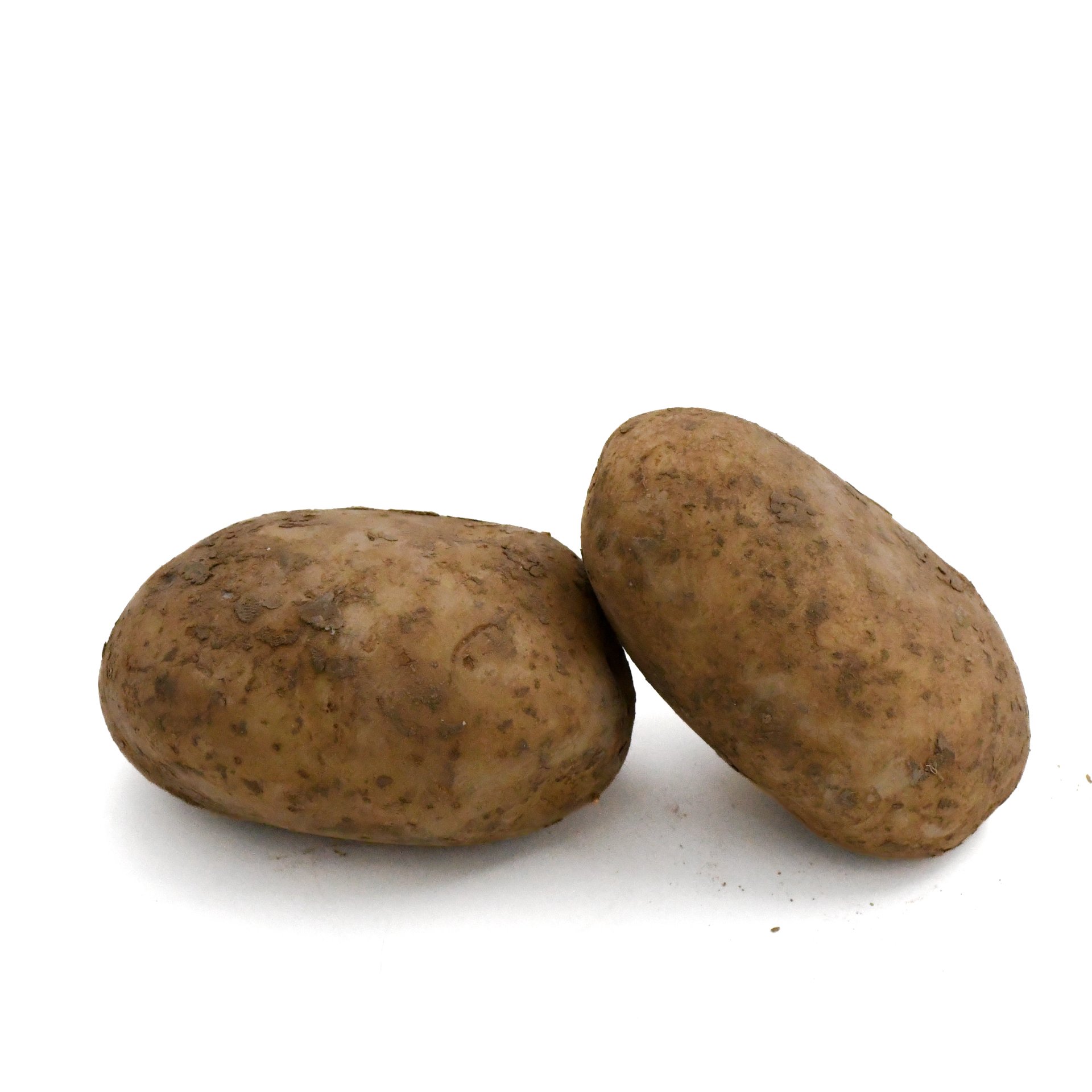 תפוח אדמה ענק