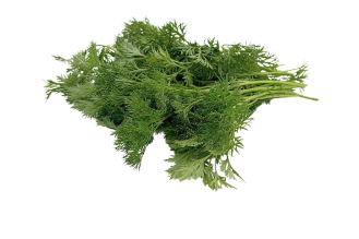 French Flat-Leaf Parsley