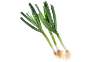 Garleek