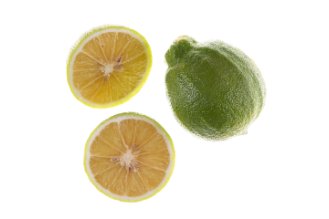 Bergamot