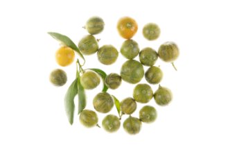 Calamansi lime