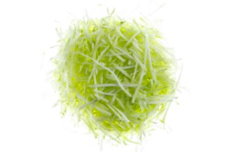 Chopped Green Papaya