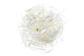 Sliced White Onion