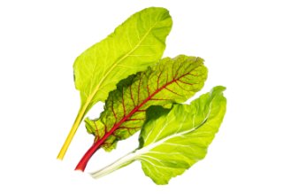 Colorful chard