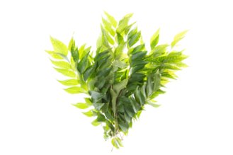 Curry Leaves