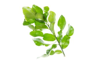 Kaffir lime leaves (chilled)