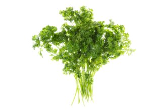 Curly parsley