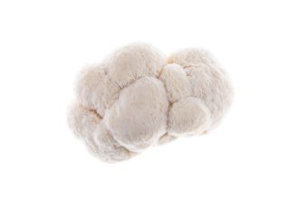 Lion's mane mushrooms