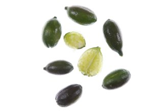 Limequat