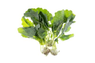 Baby purple kohlrabi