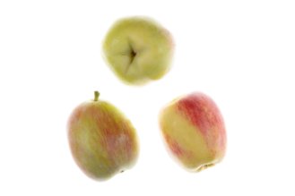 Anna apple