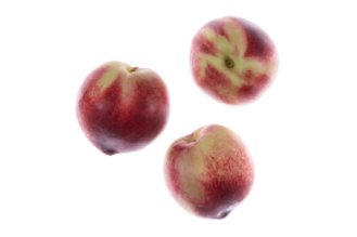 White nectarine