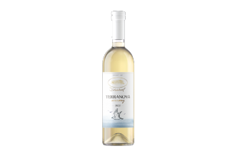 White wine - Shahaf 2022 Terra Nova