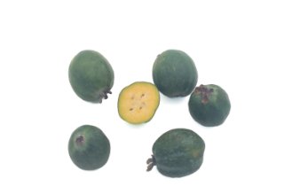 Feijoa