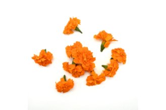 Orange Tagetes Flowers
