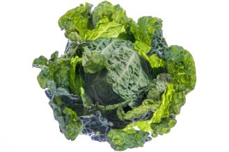 Savoy cabbage