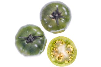 Green tomato