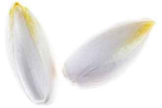 Belgian endive / Chicory