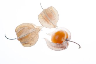 Goldenberry / Physalis