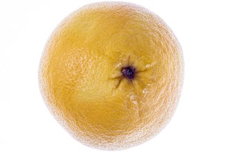 Jaffa sweetie / ORO BLANCO