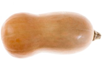 Butternut squash