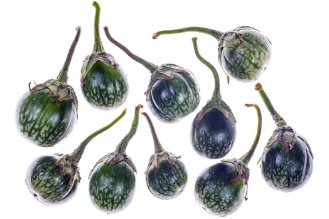 Thai eggplant