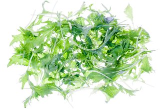 Baby green mizuna