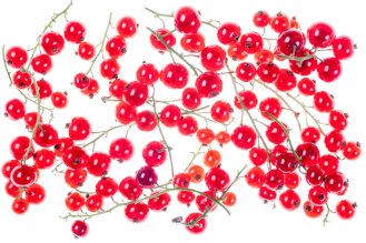 Red currant