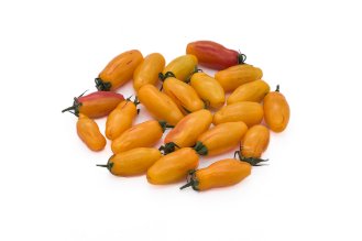 Harlequin Tiger Cherry Tomato