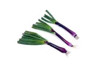 בצל ירוק עם ראש אדום